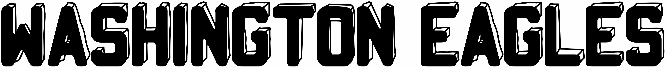 Washington Eagles