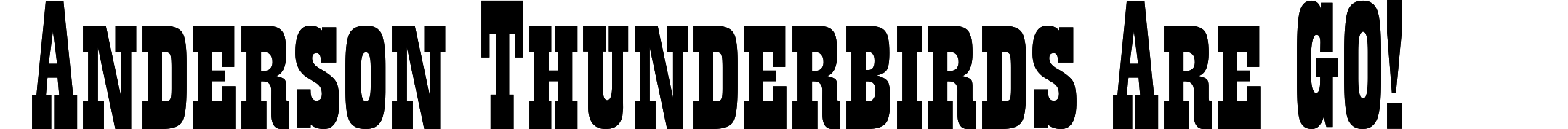 Anderson Thunderbirds Are GO!