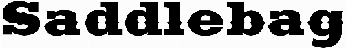 Saddlebag