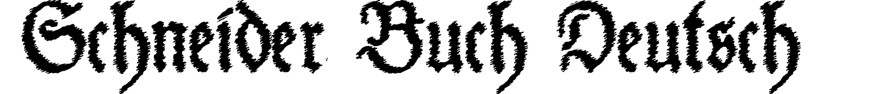 Schneider Buch Deutsch