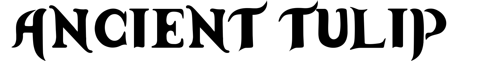 Ancient Tulip