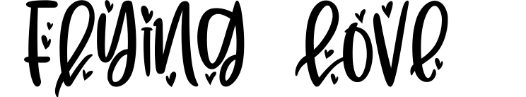 Flying Love