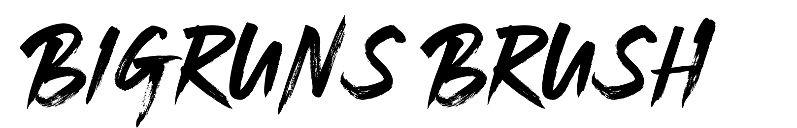 Bigruns Brush