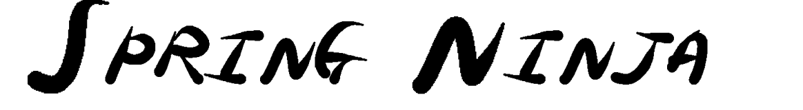 Spring Ninja