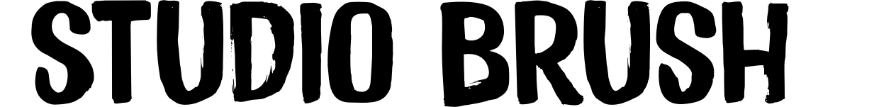 Studio Brush