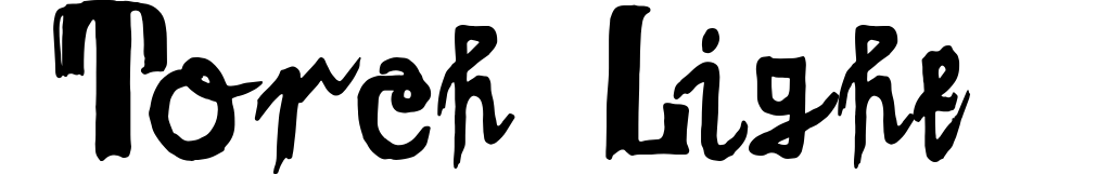 Torch Light