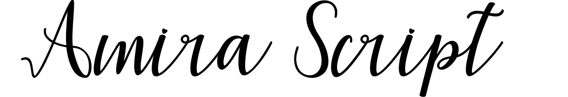 Amira Script