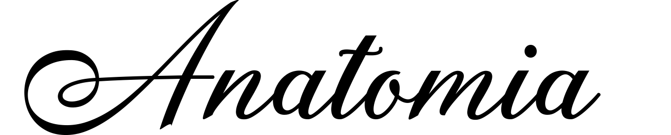 Anatomia