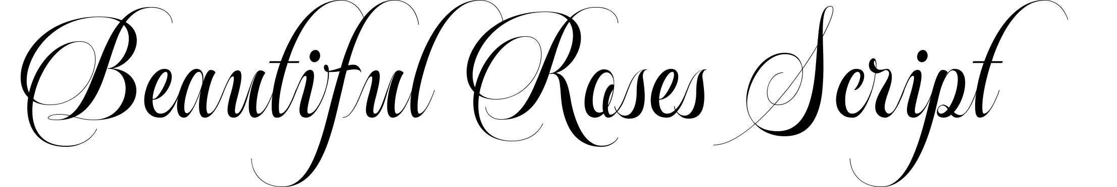 Beautiful Roses Script