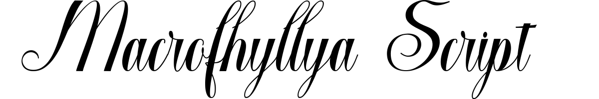 Macrofhyllya Script