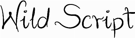 Wild Script