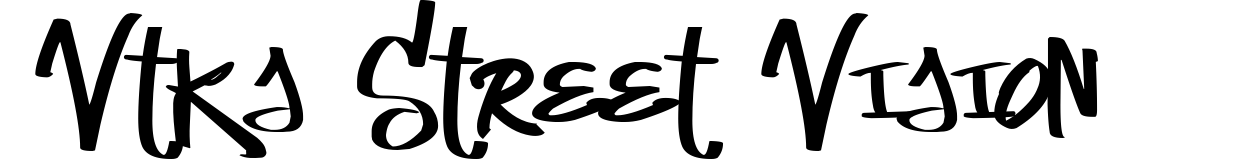 Vtks Street Vision