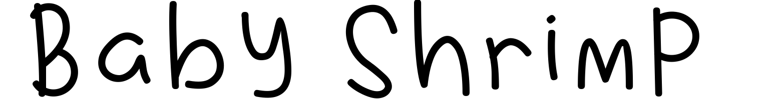 Baby Shrimp
