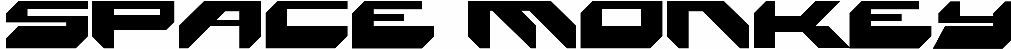 Space Monkey