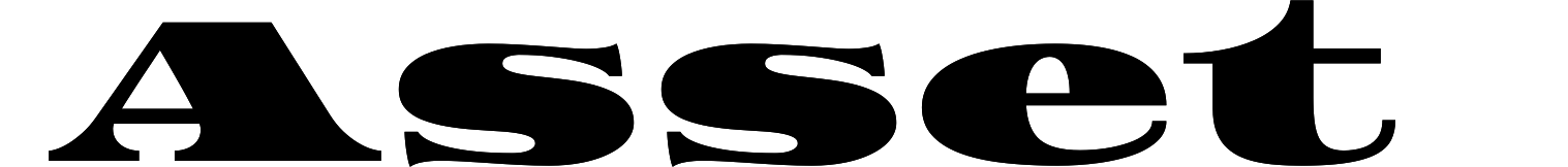 Asset