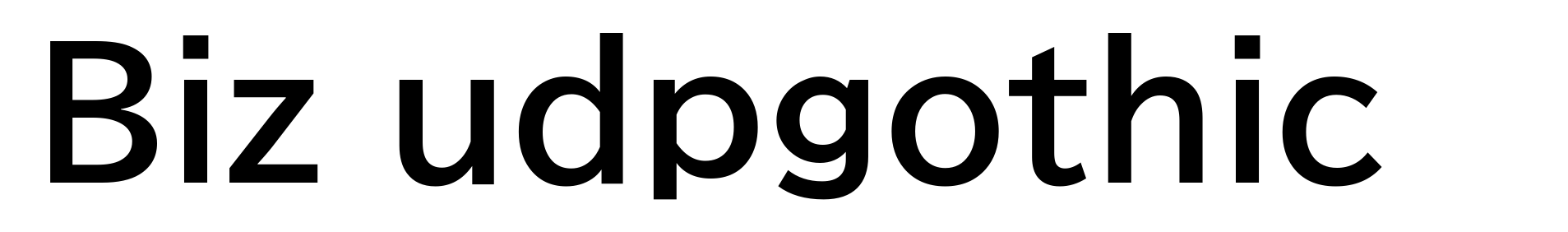 Biz udpgothic