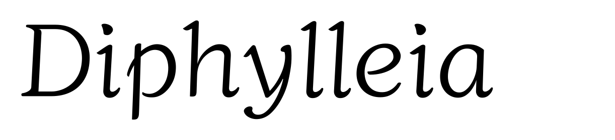 Diphylleia