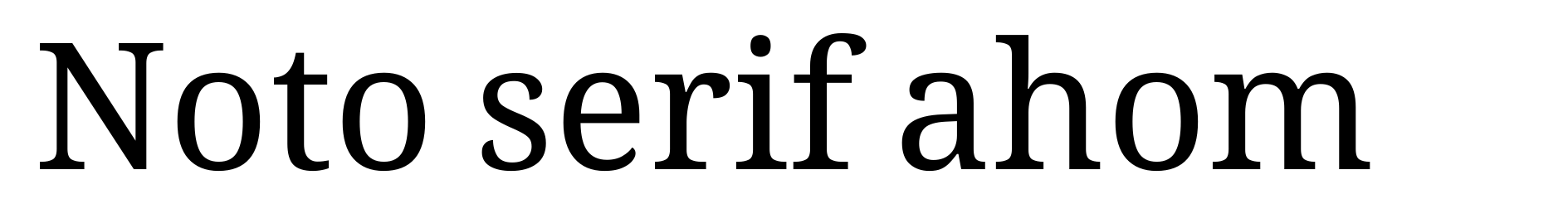 Noto serif ahom