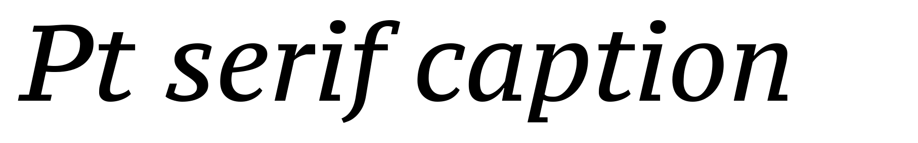 Pt serif caption