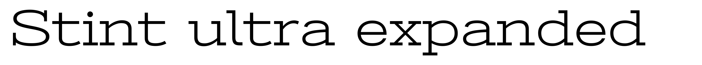 Stint ultra expanded